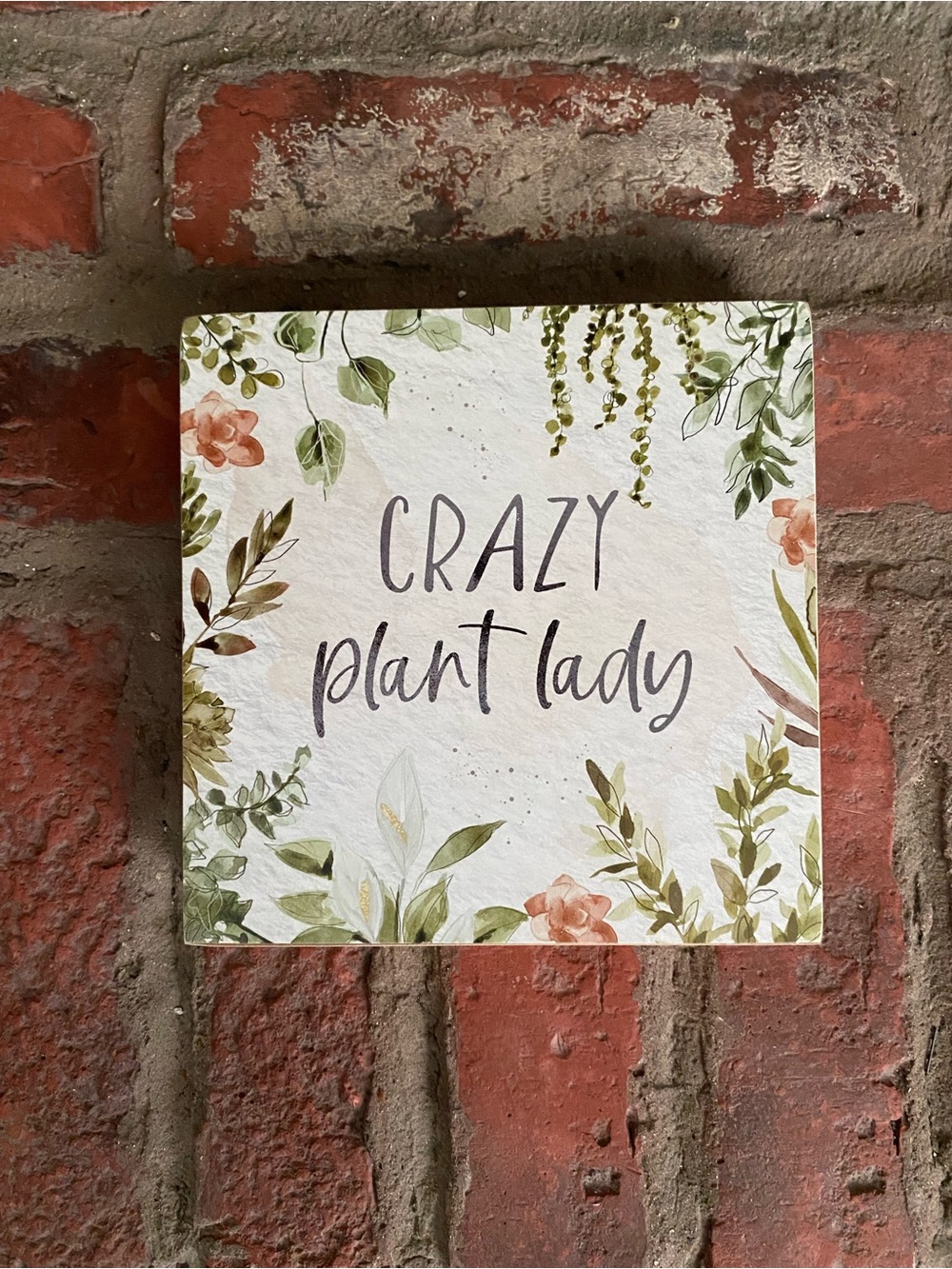 Crazy Cat Lady | Wall Art